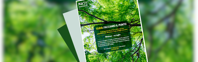 primo piano sito - 2025-07-30T124524785